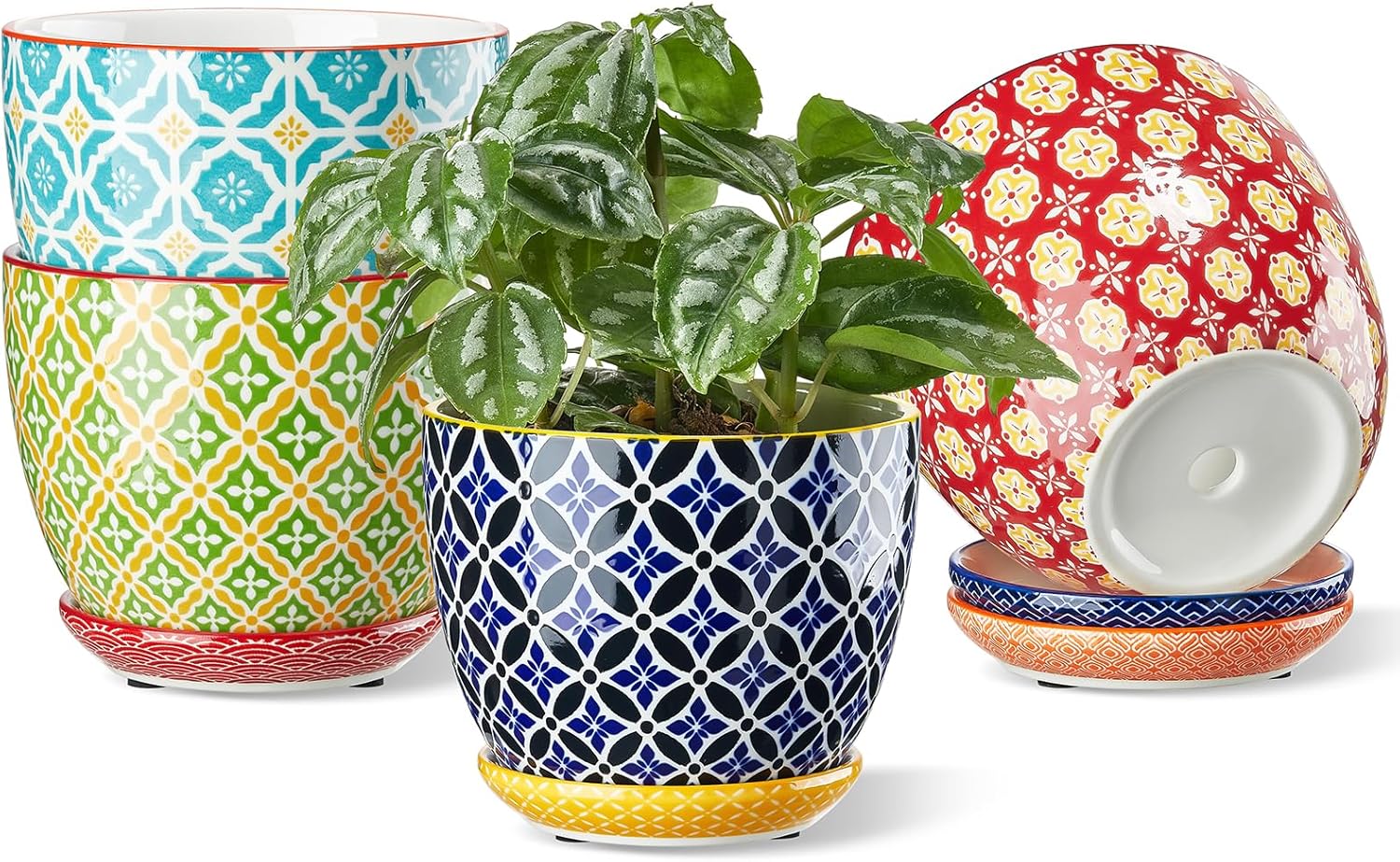 MiniBloom Ceramic Plant Pots