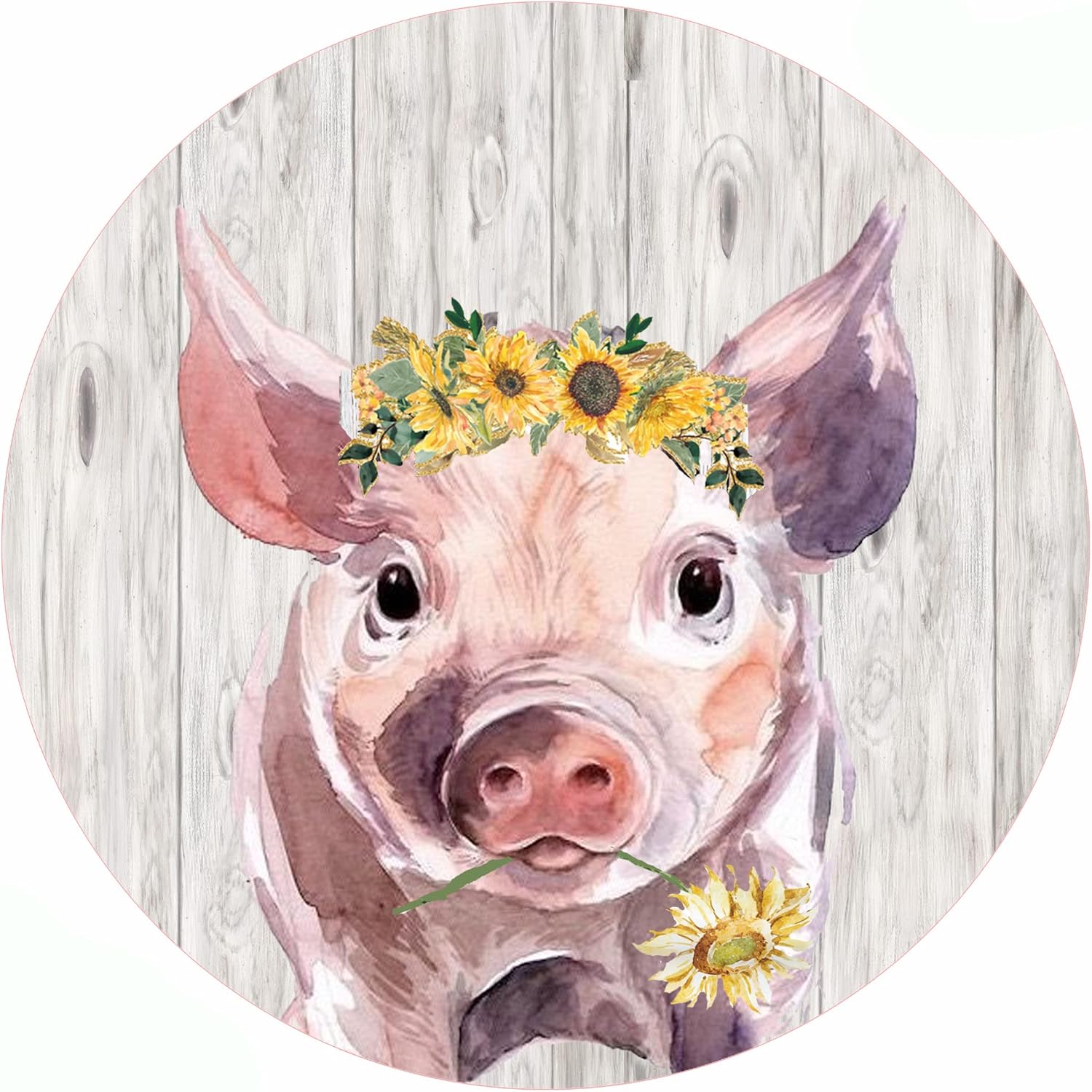 Under-Cabinet Jar Opener