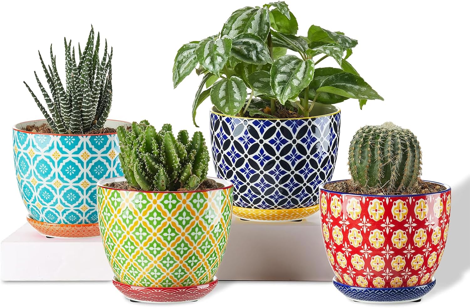 Mini Ceramic Plant Pots Set of 3